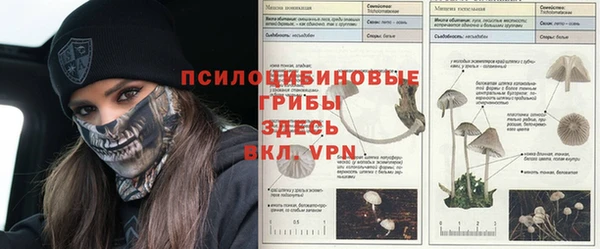 прущие крисы Волосово