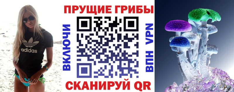 Псилоцибиновые грибы мухоморы Дегтярск