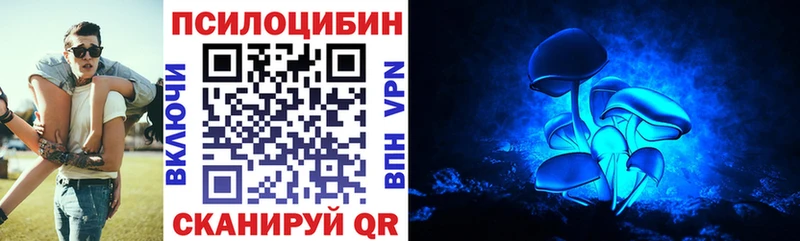 ссылка на мегу онион  Дегтярск  Галлюциногенные грибы Cubensis  что такое наркотик 